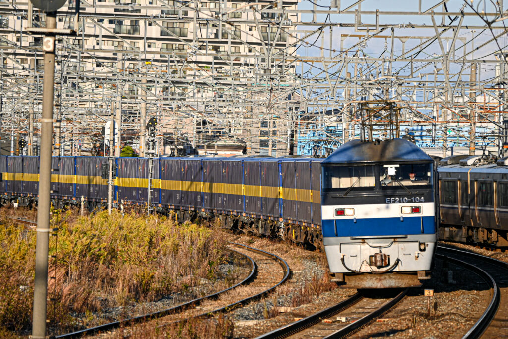 Z50_0833